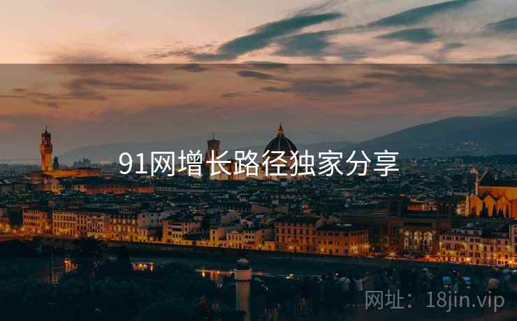 91网增长路径独家分享