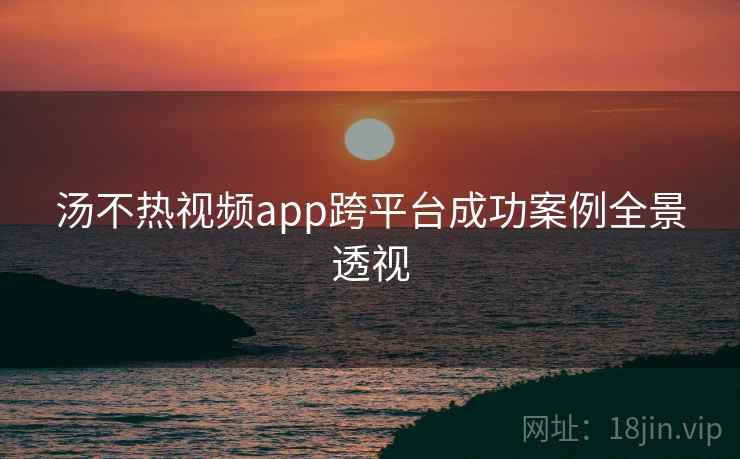 汤不热视频app跨平台成功案例全景透视