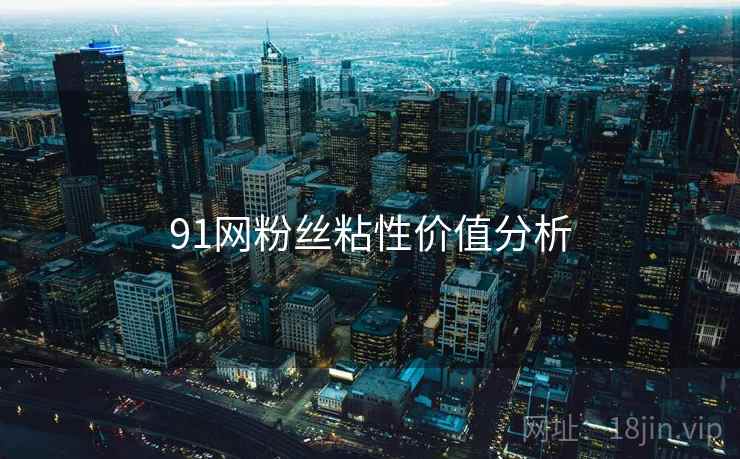 91网粉丝粘性价值分析