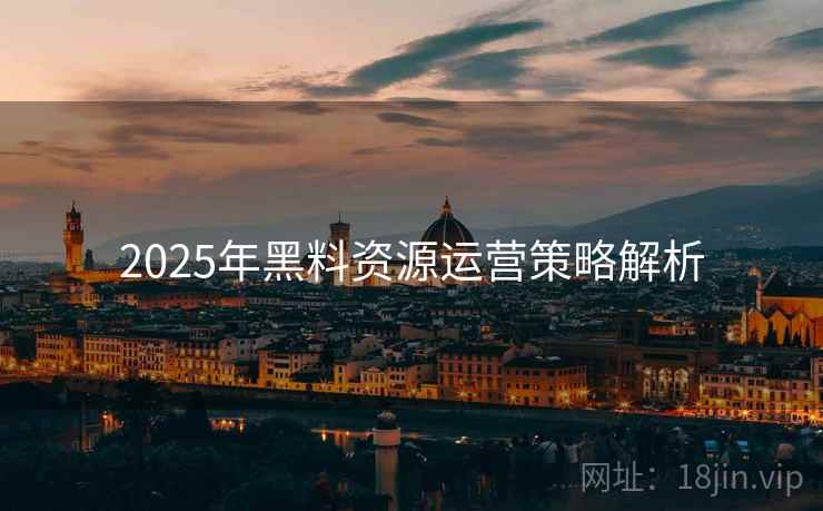 2025年黑料资源运营策略解析