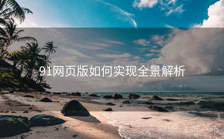 91网页版如何实现全景解析