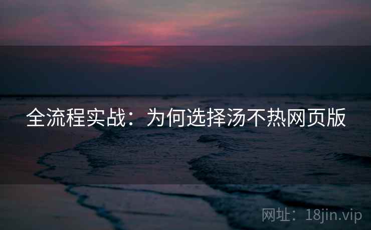 全流程实战：为何选择汤不热网页版