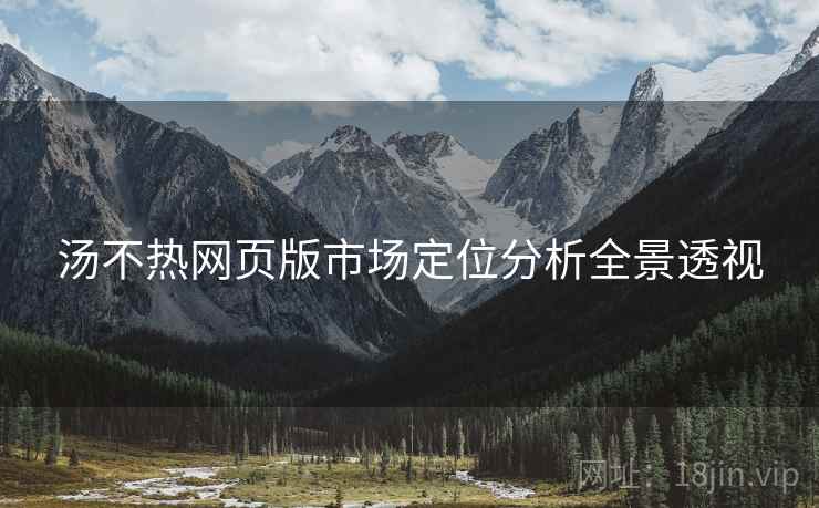 汤不热网页版市场定位分析全景透视