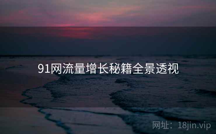 91网流量增长秘籍全景透视