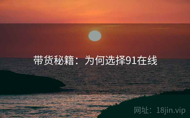 带货秘籍：为何选择91在线