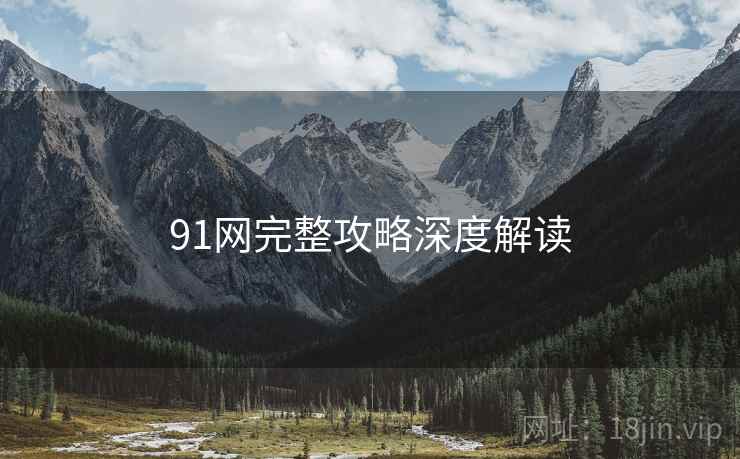 91网完整攻略深度解读