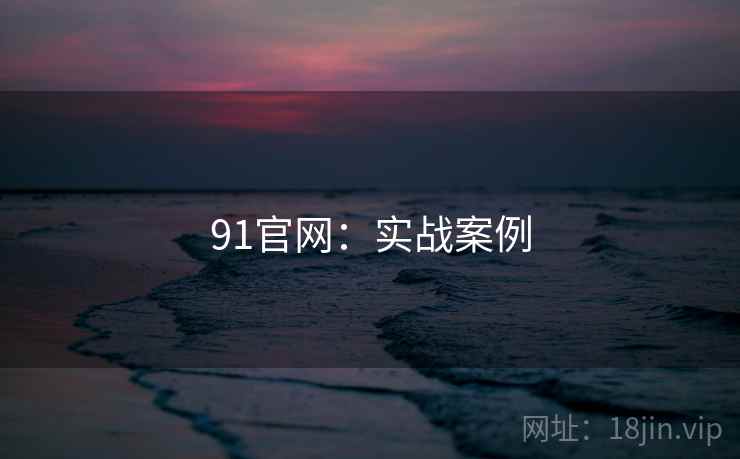91官网：实战案例