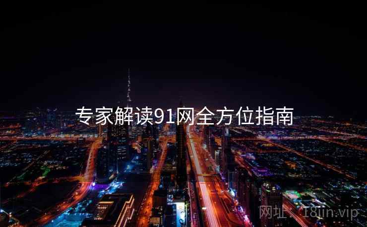 专家解读91网全方位指南