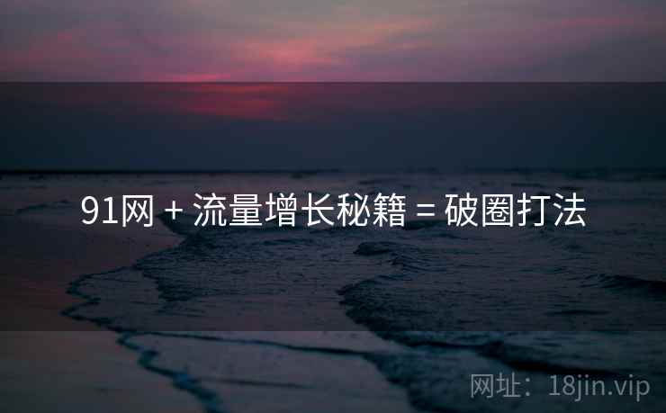 91网 + 流量增长秘籍 = 破圈打法
