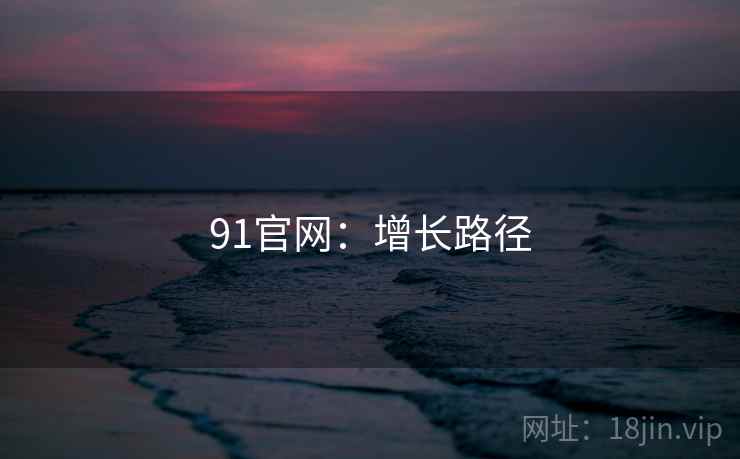 91官网：增长路径