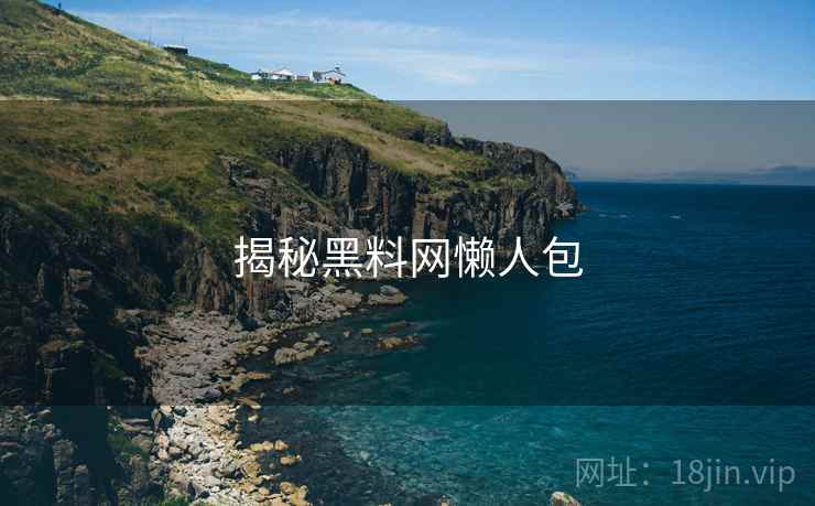 揭秘黑料网懒人包