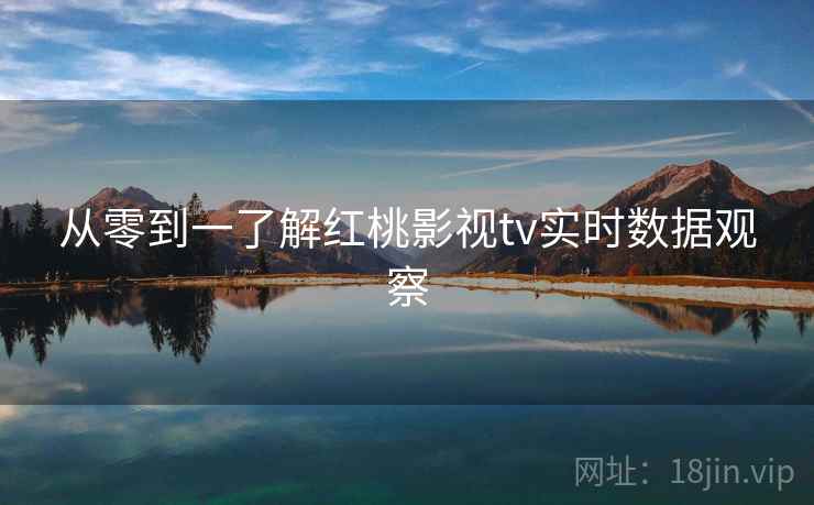 从零到一了解红桃影视tv实时数据观察