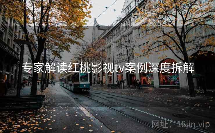 专家解读红桃影视tv案例深度拆解